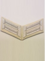 Heer Officer Waffenrock Collar Tabs(Infantry)