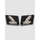 SS Brigadier General.(SS Oberfuhrer) Collar Tabs