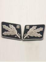 SS General.(SS Obergruppenfuhrer) Collar Tabs prior to 1942