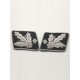 SS Lt General.(SS Gruppenfuhrer) Collar Tabs