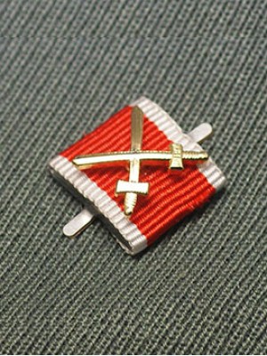 Replica of German Social Welfare Medal with Gold Swords (Ribbon Bars Devices) for Sale (by ww2onlineshop.com)