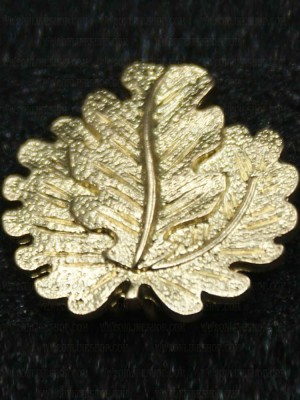 Replica of Golden Oak Leaves to the Pour le Mérite (WWI Medals & Awards) for Sale (by ww2onlineshop.com)