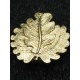 Golden Oak Leaves to the Pour le Mérite