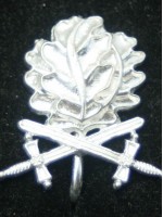 Oak Leaves with Swords to the Knight's Cross of the Iron Cross