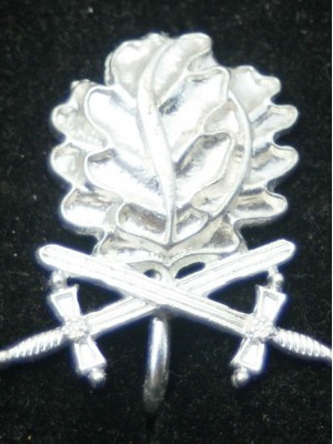 Replica of Oak Leaves with Swords to the Knight s Cross of the Iron Cross (WWII German Medals) for Sale (by ww2onlineshop.com)