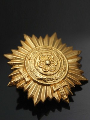 Replica of Ostvolk Medal for Bravery on the Eastern Front in Gold with Swords 1ST Class (WWII German Medals) for Sale (by ww2onlineshop.com)