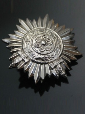 Replica of Ostvolk Medal for Bravery on the Eastern Front in Silver with Swords 1ST Class (WWII German Medals) for Sale (by ww2onlineshop.com)